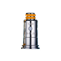 Résistances Wenax G Series (5pcs) - GeekVape