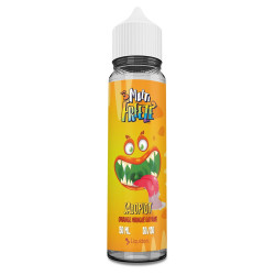 Salopiot Orange Mangue Goyave 50ml - Multifreeze by Liquideo