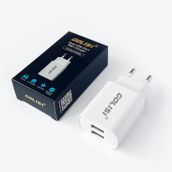 Prise USB 2 ports 12W 5V 2.4A - Golisi