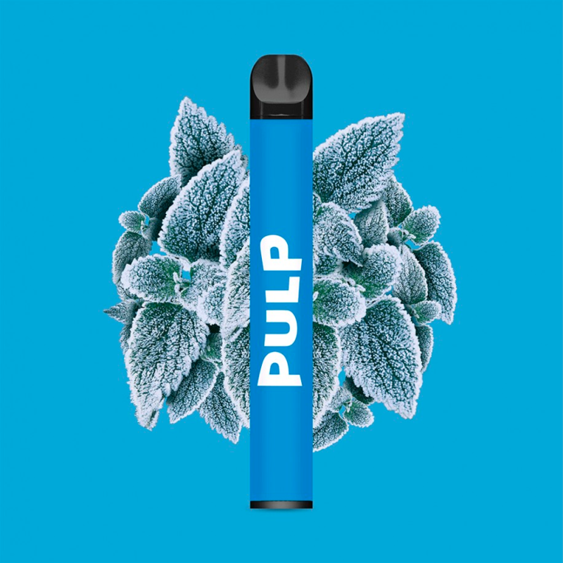 Pod Jetable Menthe Polaire 600 puffs - Pulp