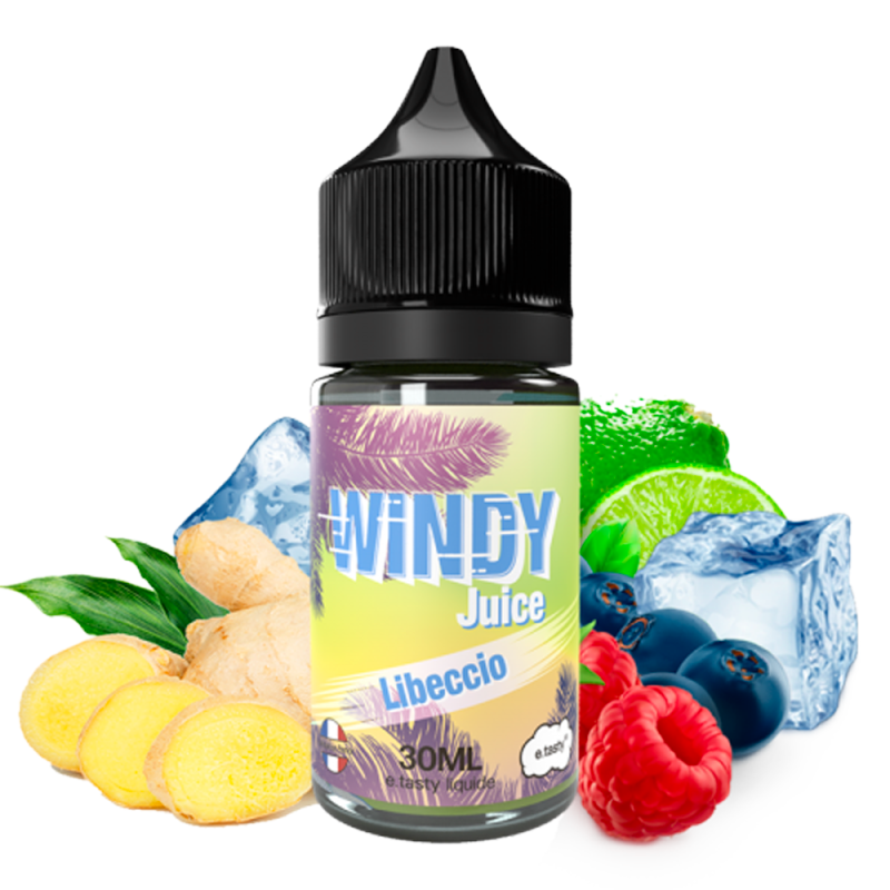 Concentré Libeccio 30ml - Windy Juice by E.Tasty