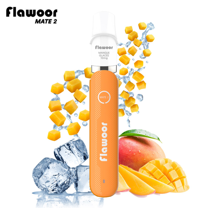 Pod Rechargeable : Kit Mangue Glacée 600 puffs 2ml - Flawoor Mate 2 