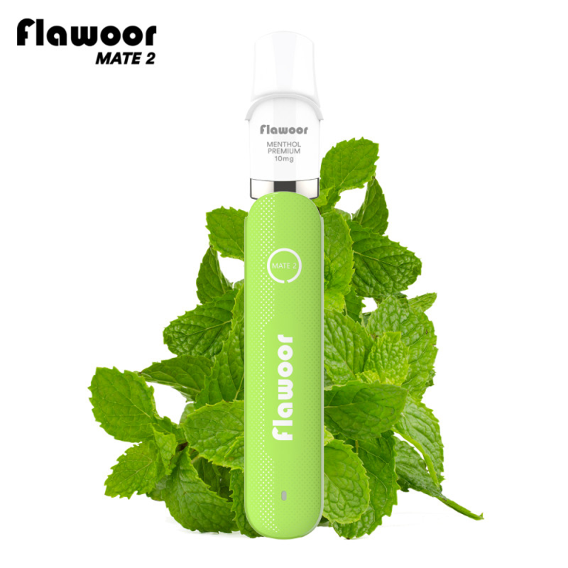 Pod Rechargeable: Kit Menthol Premium 600 puffs 2ml - Flawoor Mate 2 