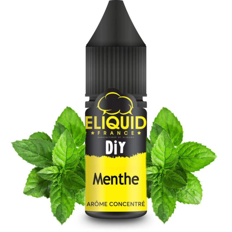 Arôme Menthe 10ml - Eliquid France