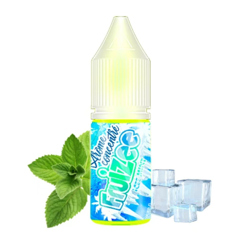 Concentré Icee Mint 10ml - Fruizee by Eliquid France