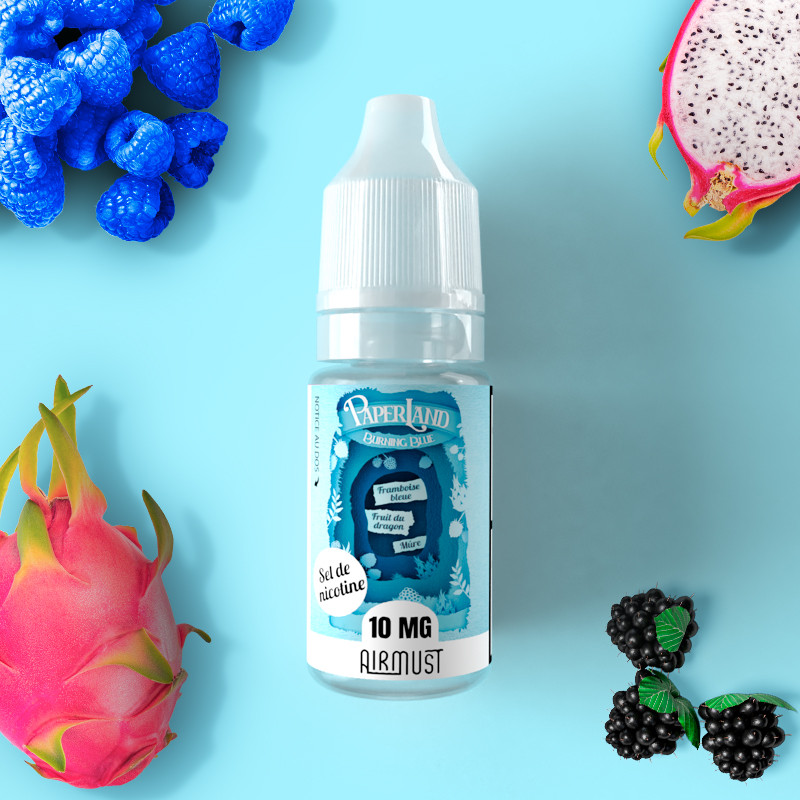 Burning Blue 10ml Nic Salt - Paperland by Airmust