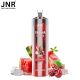 Puff Shisha Cherry Watermelon Freeze 12000 puffs - JNR