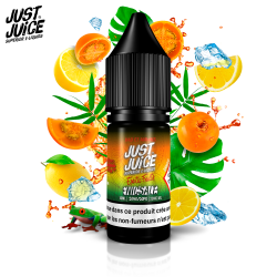 Lulo & Citrus on Ice 10ml Nic Salt - Just Juice