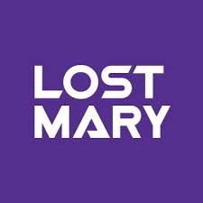 grossiste lost mary puff