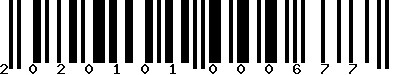 EAN-13 : 2020101000677