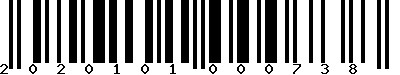 EAN-13 : 2020101000738