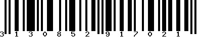 EAN-13 : 3130852917021