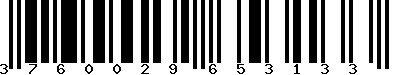 EAN-13 : 3760029653133