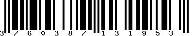 EAN-13 : 3760387131953