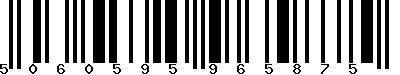 EAN-13 : 5060595965875