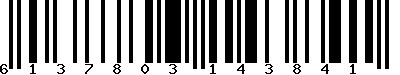 EAN-13 : 6137803143841