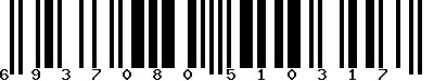 EAN-13 : 6937080510317