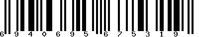 EAN-13 : 6940695675319