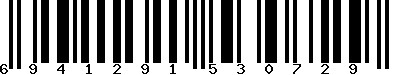 EAN-13 : 6941291530729