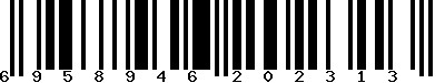 EAN-13 : 6958946202313