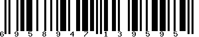 EAN-13 : 6958947139595