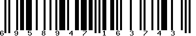 EAN-13 : 6958947163743