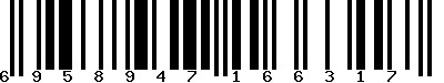 EAN-13 : 6958947166317