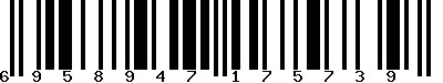 EAN-13 : 6958947175739