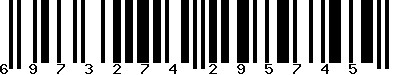 EAN-13 : 6973274295745