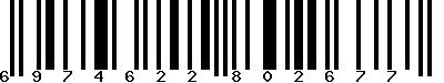 EAN-13 : 6974622802677
