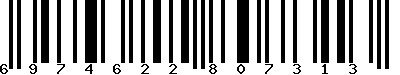 EAN-13 : 6974622807313