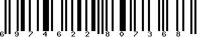 EAN-13 : 6974622807368