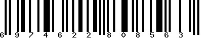 EAN-13 : 6974622808563