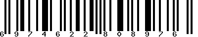 EAN-13 : 6974622808976