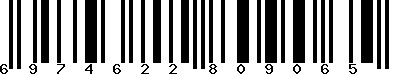 EAN-13 : 6974622809065