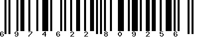 EAN-13 : 6974622809256