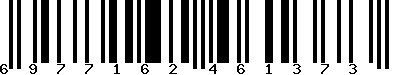EAN-13 : 6977162461373