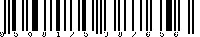 EAN-13 : 9508175387656
