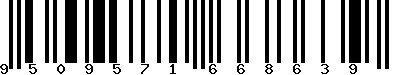 EAN-13 : 9509571668639